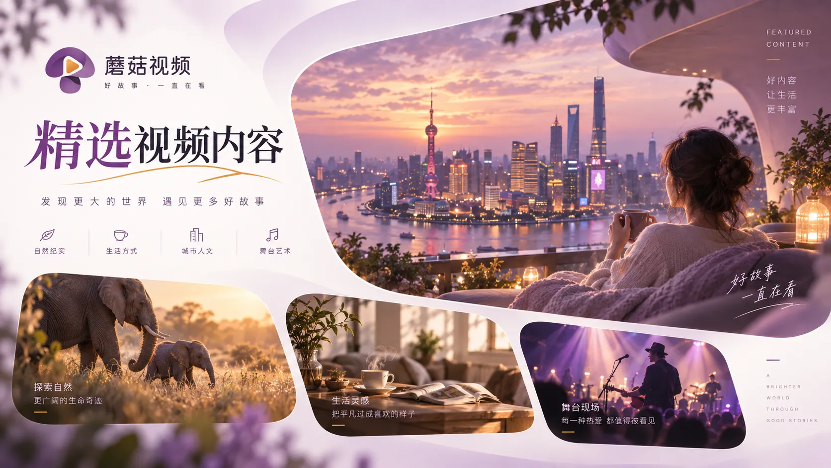 蘑菇视频在线观看主题精选内容整理